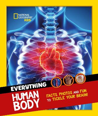 Everything Human Body