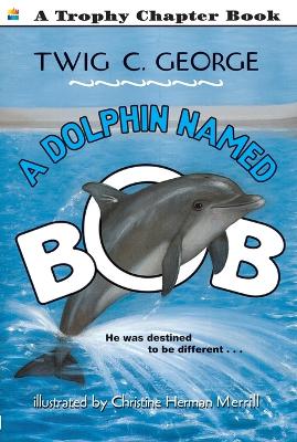 A Dolphin Named Bob