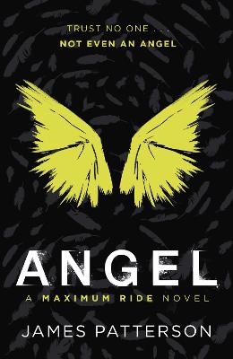 Angel: A Maximum Ride Novel