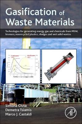 Gasification of Waste Materials