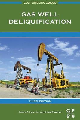 Gas Well Deliquification