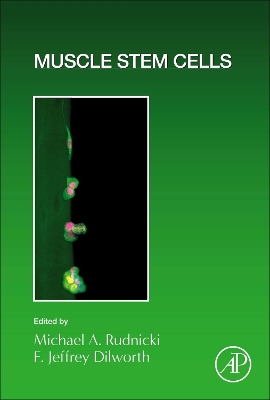 Muscle Stem Cells