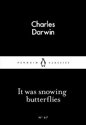 It Was Snowing Butterflies