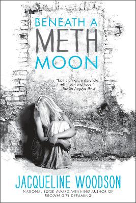 Beneath a Meth Moon