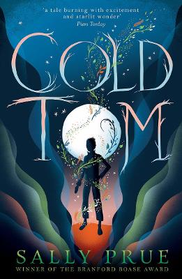 Cover for Cold Tom by Sally Prue