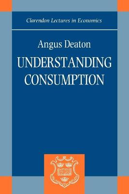 Understanding Consumption