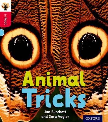 Animal Tricks