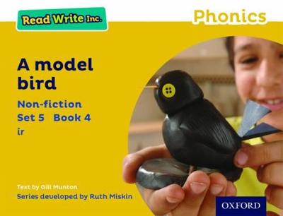 Read Write Inc. Phonics: A Model Bird (Yellow Set 5 Non-fiction 4)
