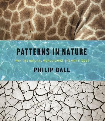 Patterns in Nature