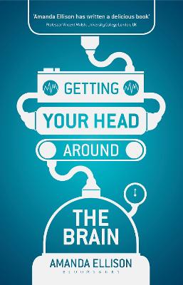 Getting your head around the brain