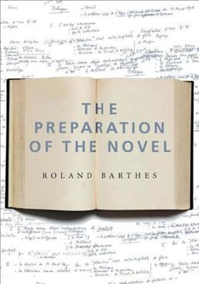 The Preparation of the Novel