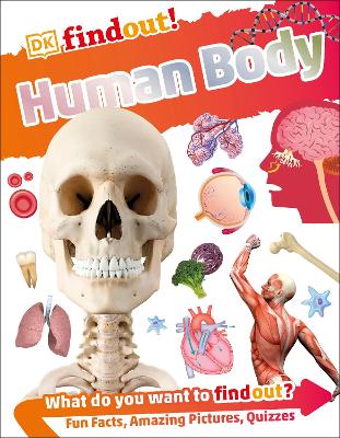 Human Body