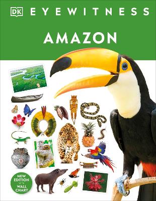 Eyewitness Amazon