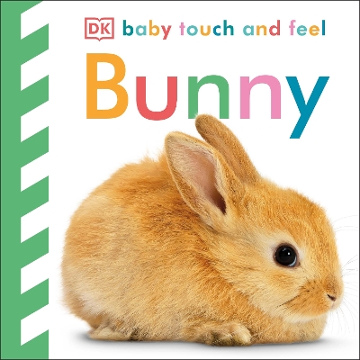 Baby Touch and Feel Bunny