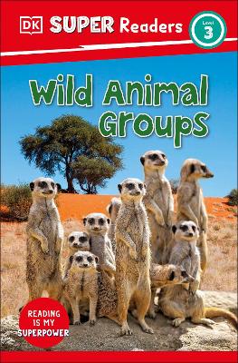 Wild Animal Groups