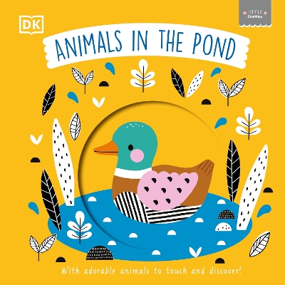 Animals in the Pond
