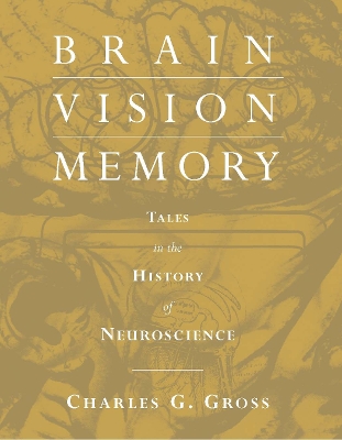 Brain, Vision, Memory