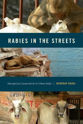 Rabies in the Streets