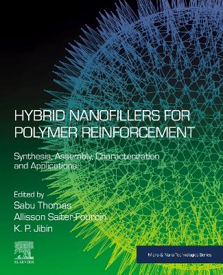Hybrid Nanofillers for Polymer Reinforcement