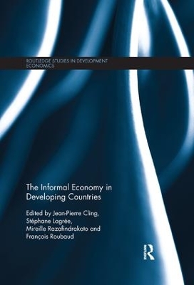 The Informal Economy in Developing Countries