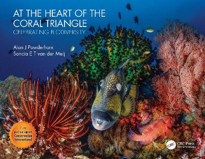 At the Heart of the Coral Triangle