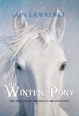 The Winter Pony