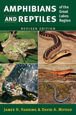 Amphibians and Reptiles of the Great Lakes Region