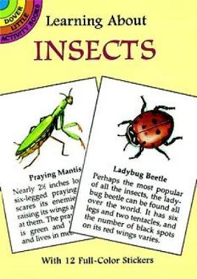 Learning About Insects