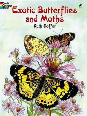 Exotic Butterflies and Moths Cb