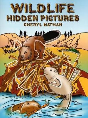 Wildlife Hidden Pictures