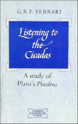 Listening to the Cicadas
