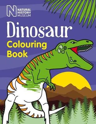 Dinosaur Colouring Book