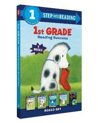 1st Grade Reading Success Boxed Set