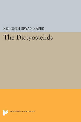 The Dictyostelids