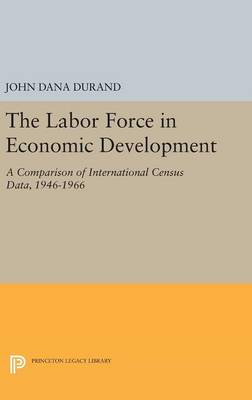 The Labor Force in Economic Development