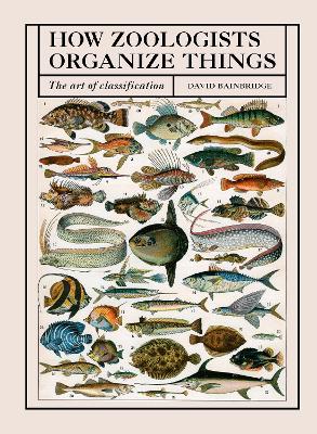 How Zoologists Organize Things