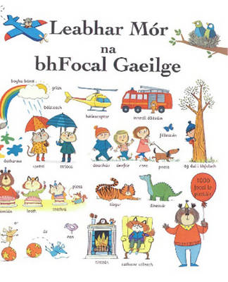 Leabhar Mór Na Bhfocal Gaeilge