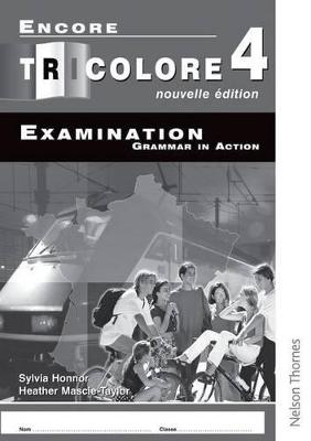 Encore Tricolore Nouvelle 4 Grammar in Action Pack (x8)