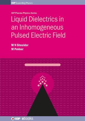 Liquid Dielectrics in an Inhomogeneous Pulsed Electric Field