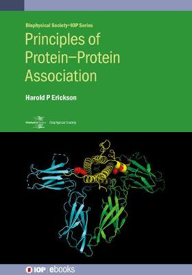 Principles of Protein–Protein Association