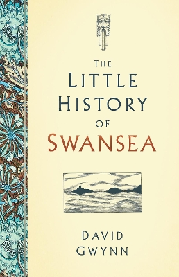 The Little History of Swansea