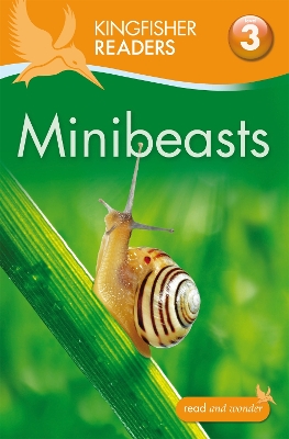 Minibeasts