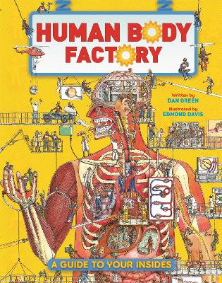 Human Body Factory