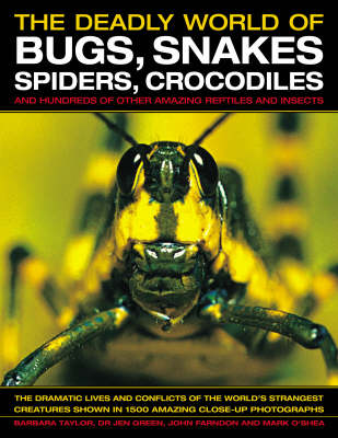 The Deadly World of Bugs, Snakes, Spiders, Crocodiles and Hundreds of Other Amazing Reptiles and Insects Discover the Amazing World of Reptiles and Bugs, Featuring More Than 1500 Fabulous Wildlife Pho