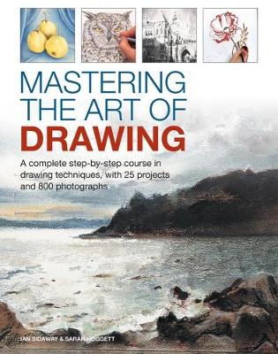 Mastering the Art of Drawing