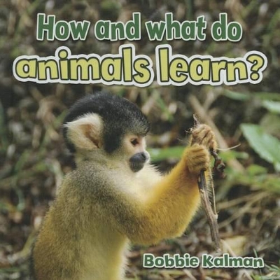 How and What Do Animals Learn