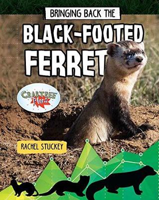 Bringing Back the Black-Footed Ferret