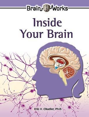 Inside Your Brain
