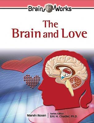 The Brain and Love