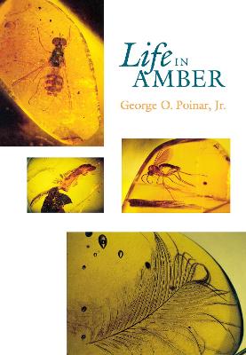 Life in Amber